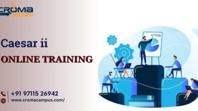 Caesar ii Online Training