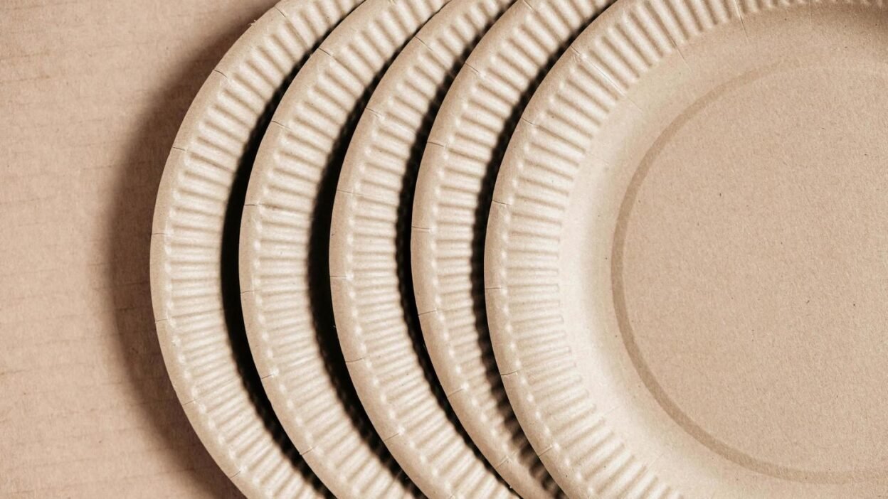 Custom Paper Plates