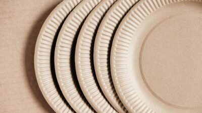 Custom Paper Plates