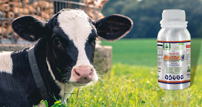 Third-Party Veterinary Manufacturing