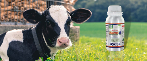 Third-Party Veterinary Manufacturing