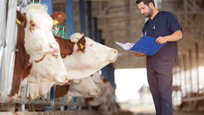 Third Party Veterinary Medicine Manufacturing
