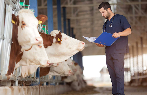 Third Party Veterinary Medicine Manufacturing