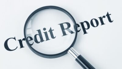 Credit Report Check